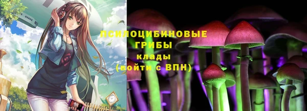 экстази Переславль-Залесский