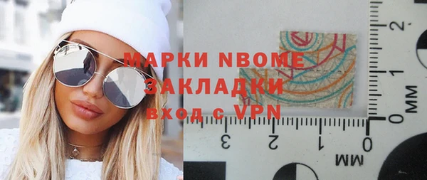 стаф Осинники