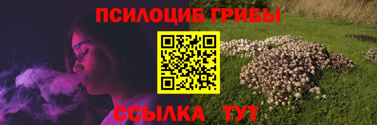 Алушта  Галлюциногенные грибы Cubensis  Вход с VPN 