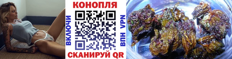 Бошки Шишки план  купить наркотики цена  Алушта 