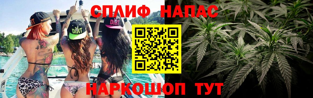 Марихуана сатива Алушта